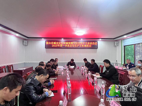 蓝山县召开城市运行和城镇燃气安全生产专业委员会2025年第一季度会议.jpg