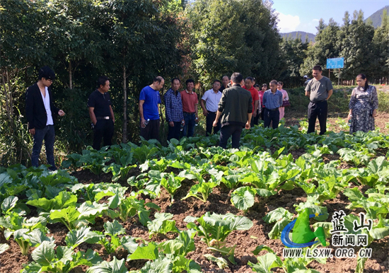 6e41cac688908b05d1851a732c90d08c.jpg 6e41cac688908b05d1851a732c90d08c.jpg