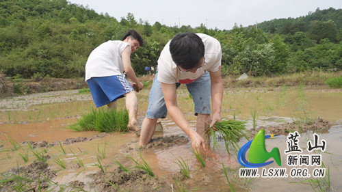 微信图片_20240501155734_副本.jpg 微信图片_20240501155734_副本.jpg