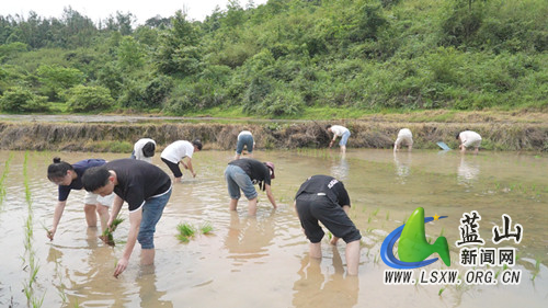 微信图片_20240501155730_副本.jpg 微信图片_20240501155730_副本.jpg