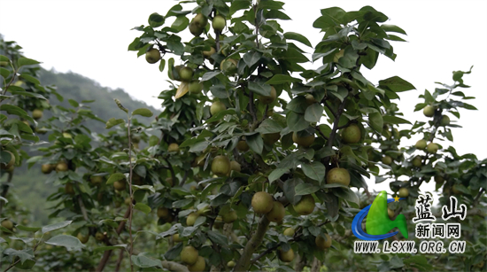 ????_20240621153556.jpg ????_20240621153556.jpg