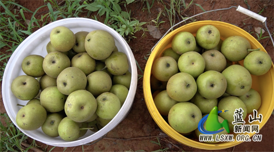 ????_20240621153550.jpg ????_20240621153550.jpg