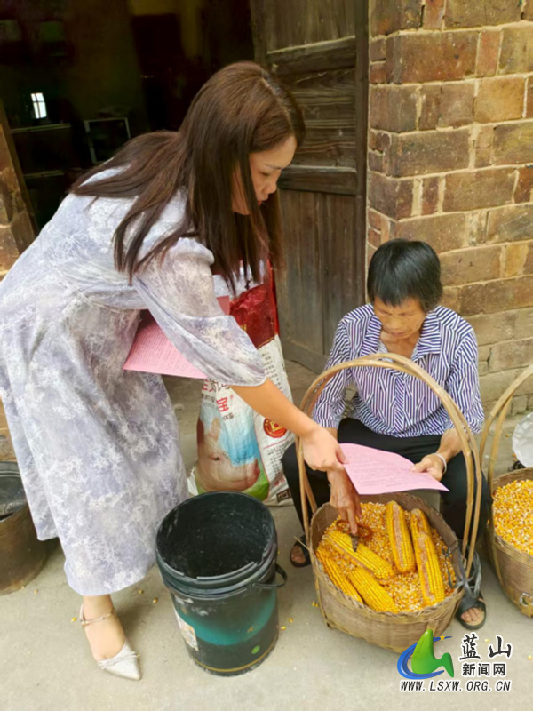 太平圩镇筑牢基孔肯雅热、登革热防控 “安全网”1.jpg