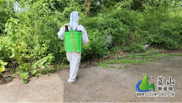 太平圩镇筑牢基孔肯雅热、登革热防控 “安全网”2.jpg