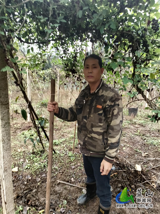 李维兵.jpg 李维兵.jpg