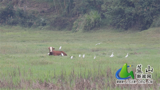 Still1201_00602(1).jpg Still1201_00602(1).jpg