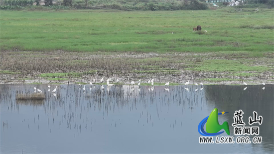 Still1201_00598(1).jpg Still1201_00598(1).jpg