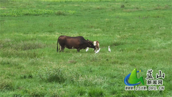 Still1201_00601(1).jpg Still1201_00601(1).jpg