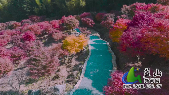 微信图片_20231124162649.jpg 微信图片_20231124162649.jpg