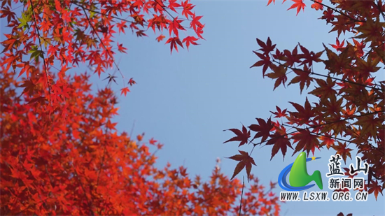 微信图片_20231124162654.jpg 微信图片_20231124162654.jpg