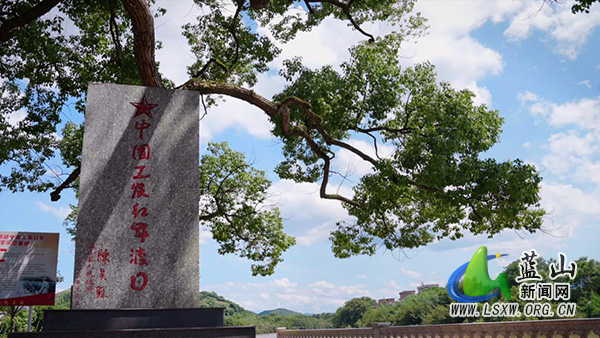 蓝山：古樟垂荫忆峥嵘 名木记载军民情.jpg