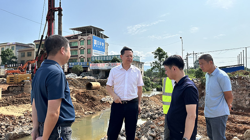 龙向洋：让人民群众早日畅享到便捷畅通的道路建设成果.jpg