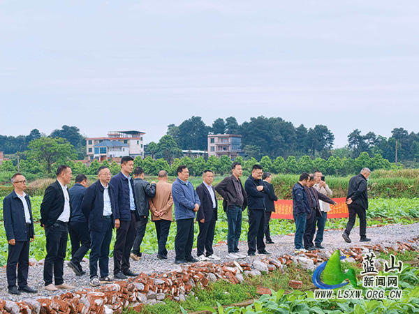永州市烤烟大田管理现场督促会在蓝山县新圩镇上清涵村召开.jpg
