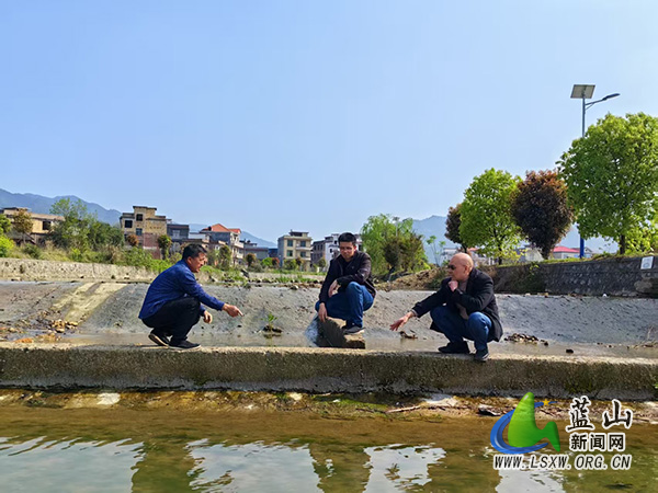 蓝山:监督护春耕 一渠清水畅民心.jpg 蓝山:监督护春耕 一渠清水畅民心.jpg