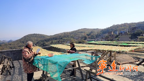 宁远:传统红薯片 致富新产业2_副本500.jpg 宁远:传统红薯片 致富新产业2_副本500.jpg