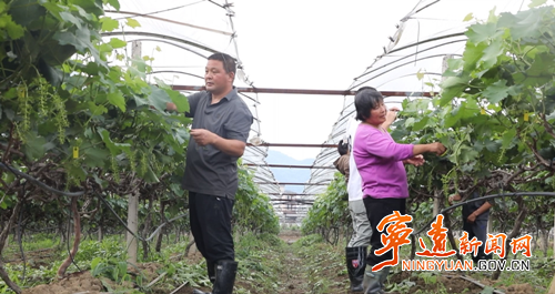 【拼经济·抓项目·促发展】宁远:产业兴旺带就业 有效衔接促发展2_副本500.png 【拼经济·抓项目·促发展】宁远:产业兴旺带就业 有效衔接促发展2_副本500.png