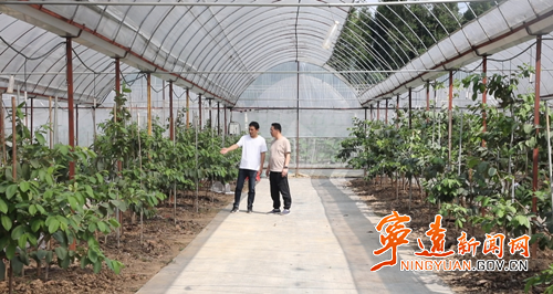 宁远:生态种植结硕果 农旅融合谱新篇2_副本500.png 宁远:生态种植结硕果 农旅融合谱新篇2_副本500.png