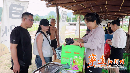 宁远:农旅融合绘就乡村振兴“丰”景图2_副本500.jpg 宁远:农旅融合绘就乡村振兴“丰”景图2_副本500.jpg