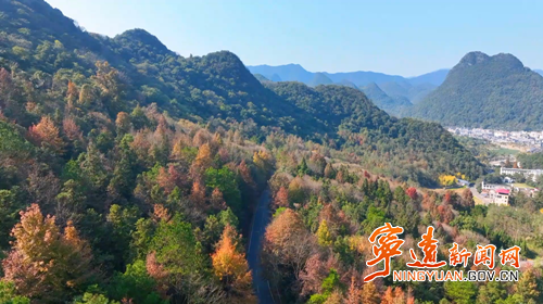 宁远:舜源峰“枫”景醉人_副本500.png 宁远:舜源峰“枫”景醉人_副本500.png