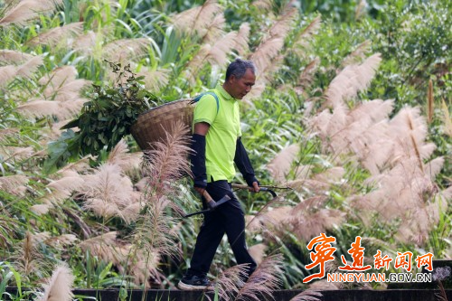 【永冲锋·拼经济·促发展】宁远：瑶浴工厂带动群众家门口就业增收1_副本500.jpg