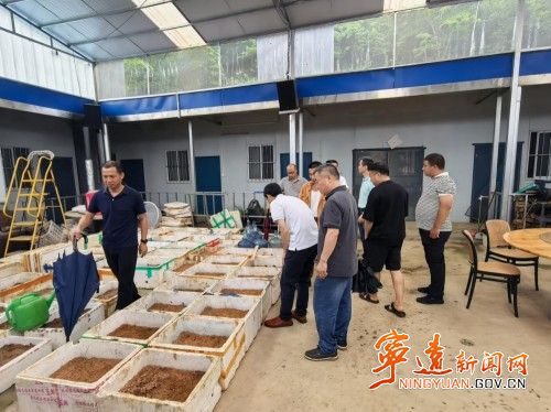 宁远：聚焦基层减负增效 以数字赋能助力乡村振兴2_副本500.jpg