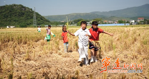 宁远：“世界粮食日”田间学爱粮3_副本500.jpg