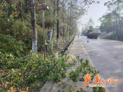宁远：清理树枝除隐患 共筑平安畅通路_副本500.jpg