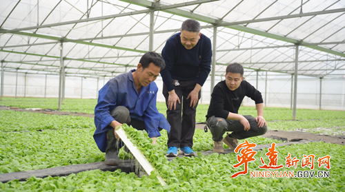 宁远:党建领航“苗”绘蓝图 烟苗移栽开启致富新篇2_副本500.png 宁远:党建领航“苗”绘蓝图 烟苗移栽开启致富新篇2_副本500.png