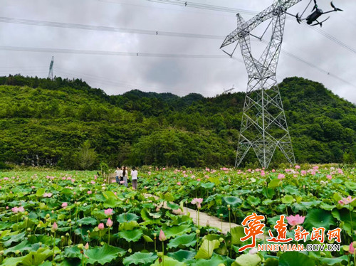 宁远县清水桥镇：荷风润乡风 新风漾谢家_副本500.jpg