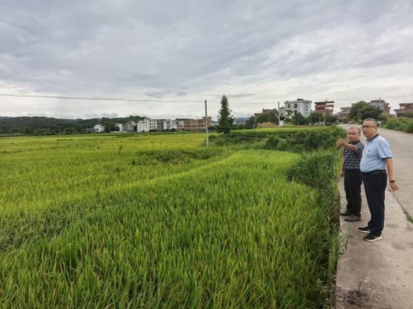 微信图片_20250806222945