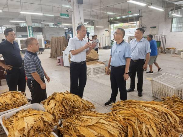 微信图片_20250806222950