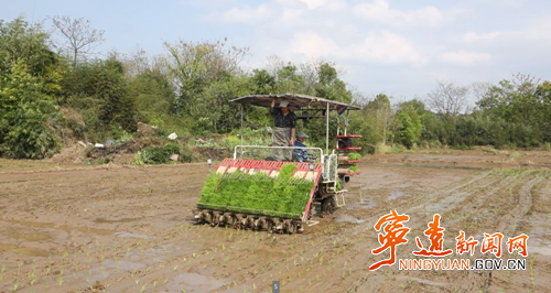 宁远：早稻插秧正当时 机械化赋能春耕忙_副本500.png