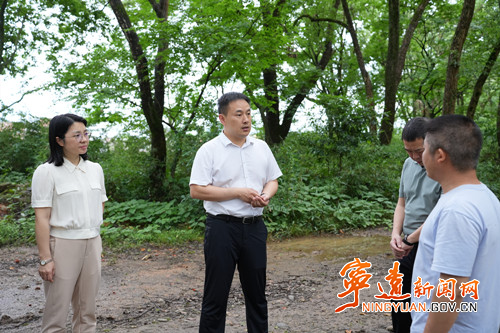 林亮亮检查防汛备汛工作_副本500.jpg