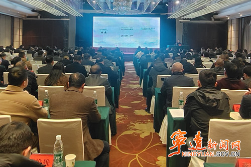 全省农村宅基地管理利用工作会议在宁远召开_副本500.jpg