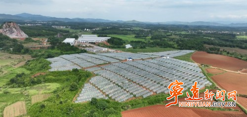 【永冲锋·拼经济·促发展】宁远：盘活大棚资源 助力乡村振兴1_副本500.jpg