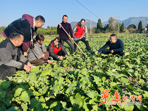 微信图片_20240111162242.jpg 微信图片_20240111162242.jpg