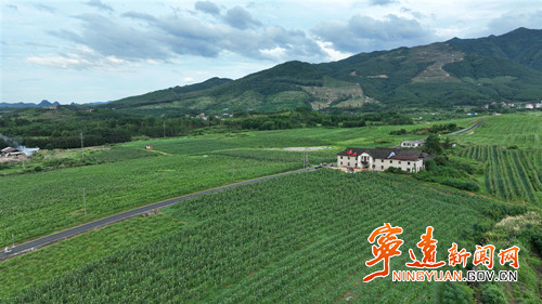 宁远:恢复耕地结硕果3_副本500.jpg 宁远:恢复耕地结硕果3_副本500.jpg