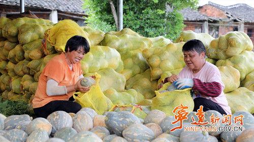 宁远:恢复耕地结硕果2_副本500.jpg 宁远:恢复耕地结硕果2_副本500.jpg