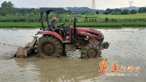 宁远：抢抓农时插晚稻(组图）5_副本500.jpg