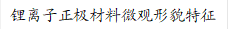 锂离子正极材料微观形貌特征