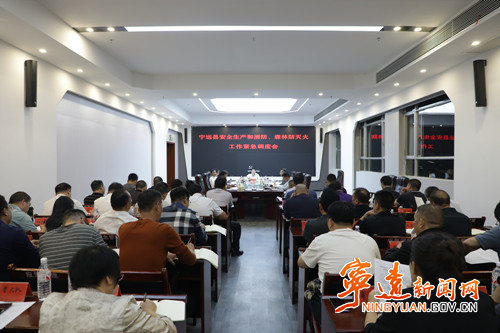 宁远召开安全生产和消防、森林防灭火工作紧急调度会_副本500.jpg