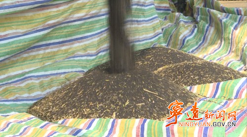 宁远:开展精准农技服务 扎实推进农业生产2_副本500.jpg 宁远:开展精准农技服务 扎实推进农业生产2_副本500.jpg