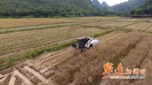 宁远:开展精准农技服务 扎实推进农业生产1_副本500.jpg 宁远:开展精准农技服务 扎实推进农业生产1_副本500.jpg