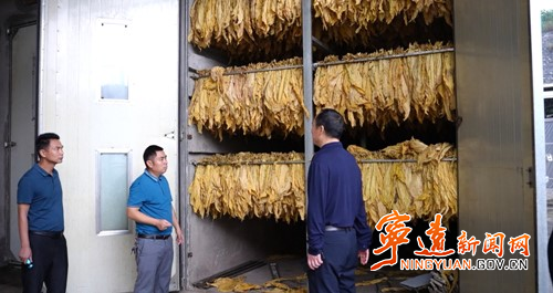 宁远:烤烟开烤工作稳步进行3_副本500.jpg 宁远:烤烟开烤工作稳步进行3_副本500.jpg