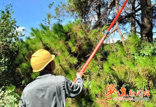 宁远:开展隐患整治 打好迎峰度夏保电战_副本_副本500.jpg 宁远:开展隐患整治 打好迎峰度夏保电战_副本_副本500.jpg