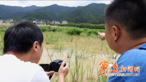 宁远:小鸊鹈湿地公园筑爱巢3_副本500.jpg 宁远:小鸊鹈湿地公园筑爱巢3_副本500.jpg