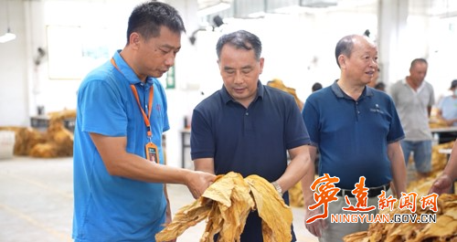 宁远:做优烟叶收购服务 全力保障烟农增收4_副本500.jpg 宁远:做优烟叶收购服务 全力保障烟农增收4_副本500.jpg