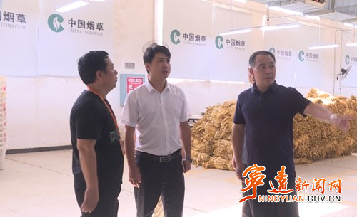 刘湘明调研烤烟收购工作_副本500.jpg 刘湘明调研烤烟收购工作_副本500.jpg