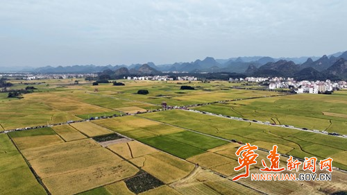 宁远:高标准农田助力粮食产量质量“双提升”2_副本500.jpg 宁远:高标准农田助力粮食产量质量“双提升”2_副本500.jpg