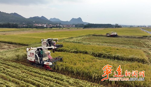 宁远:高标准农田助力粮食产量质量“双提升”_副本500.jpg 宁远:高标准农田助力粮食产量质量“双提升”_副本500.jpg